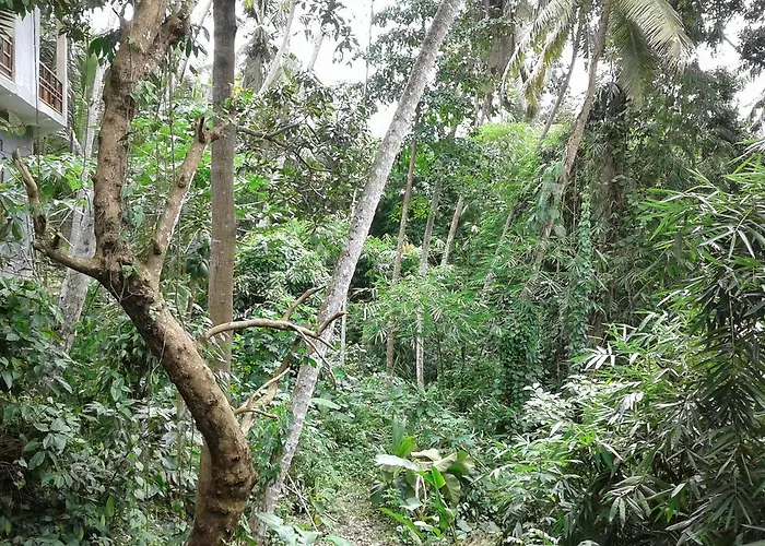 Gaufando Ubud (Bali)